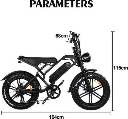 V20 Pro Fatbike Black 2024 Hydraulic brakes